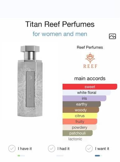 Reef Titan Perfume 200ml